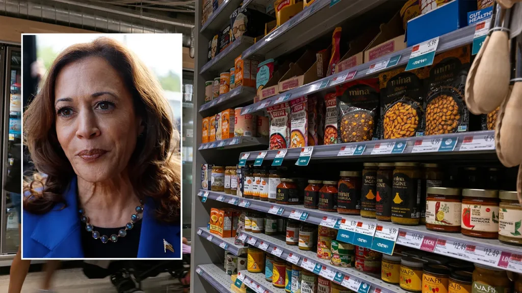 kamala grocery plan