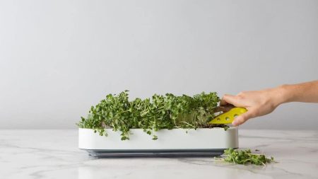 microgreens grower