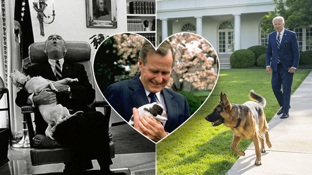 presidential pups