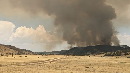 wyo state forestry fire