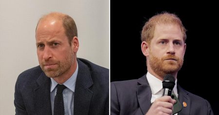 Prince William Speaks to UN Leaders Via Video Hours After Harry s Appearance 559