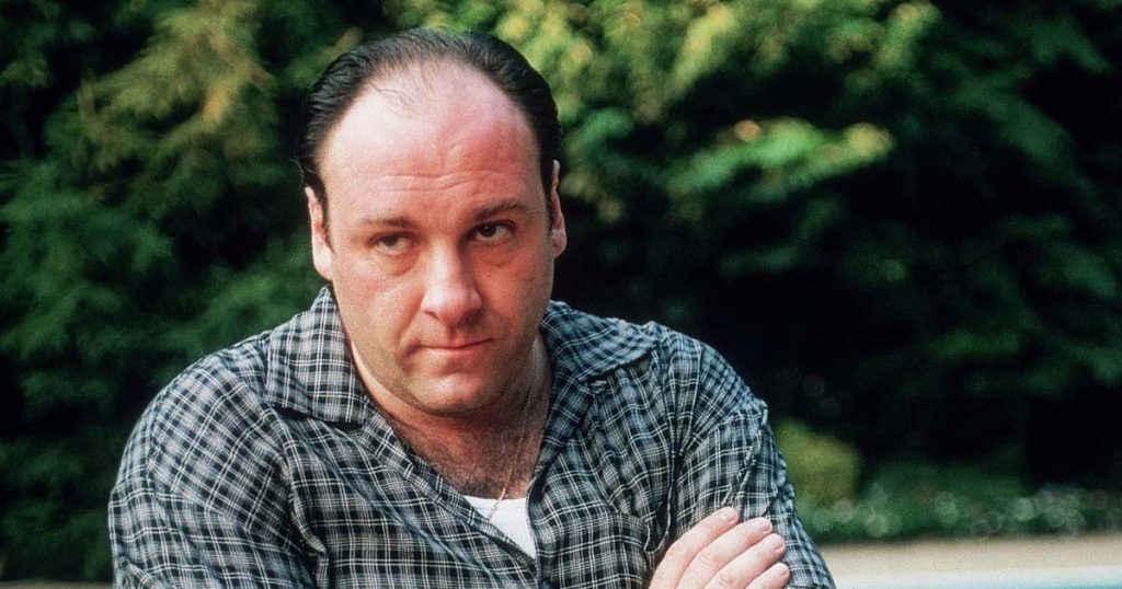 Sopranos Cast Shares Highs and Lows of Working With James Gandolfini in Wise Guy Documentary 670