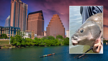 TX LADY BIRD LAKE CATCH 2