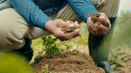 farmer soil