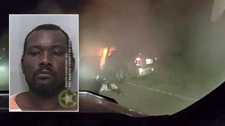 florida man car chase fire police