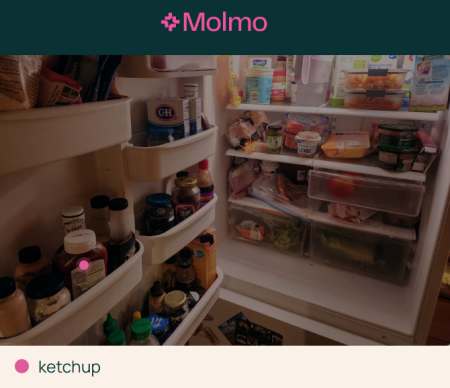 molmo ketchup 2