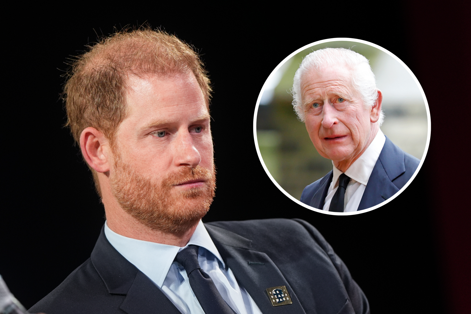 prince harry king charles iii