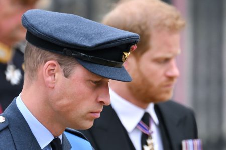 prince william prince harry