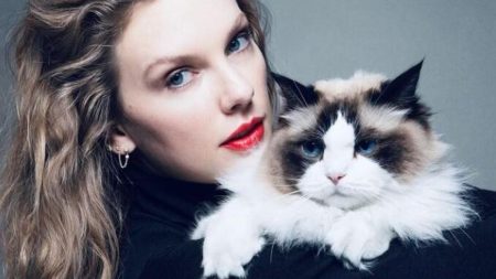 taylor swift cat instagram