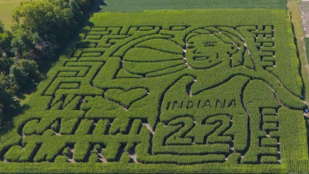 caitlin clark corn maze