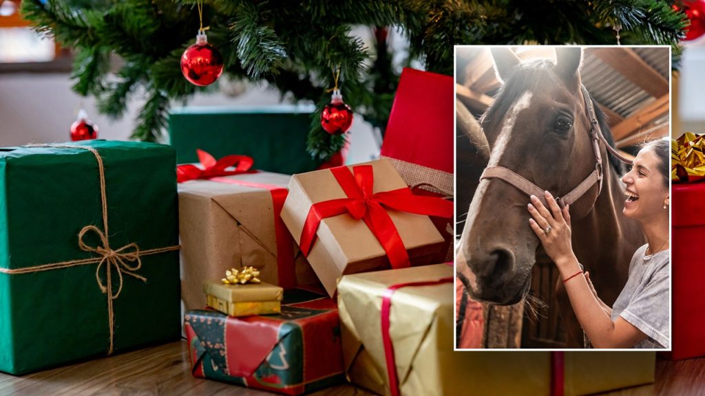 christmas horse gifts