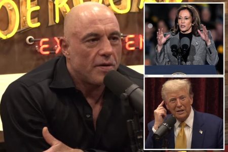 joe rogan trump harris interview comp e2d403