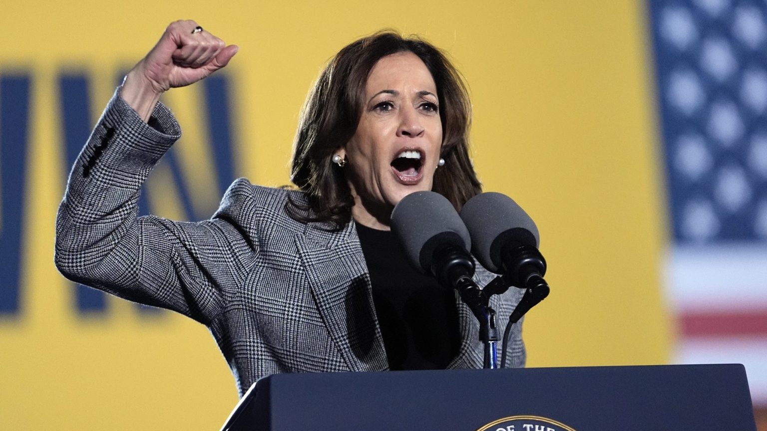 kamala harris ann arbor mi oct. 28 2024 scaled