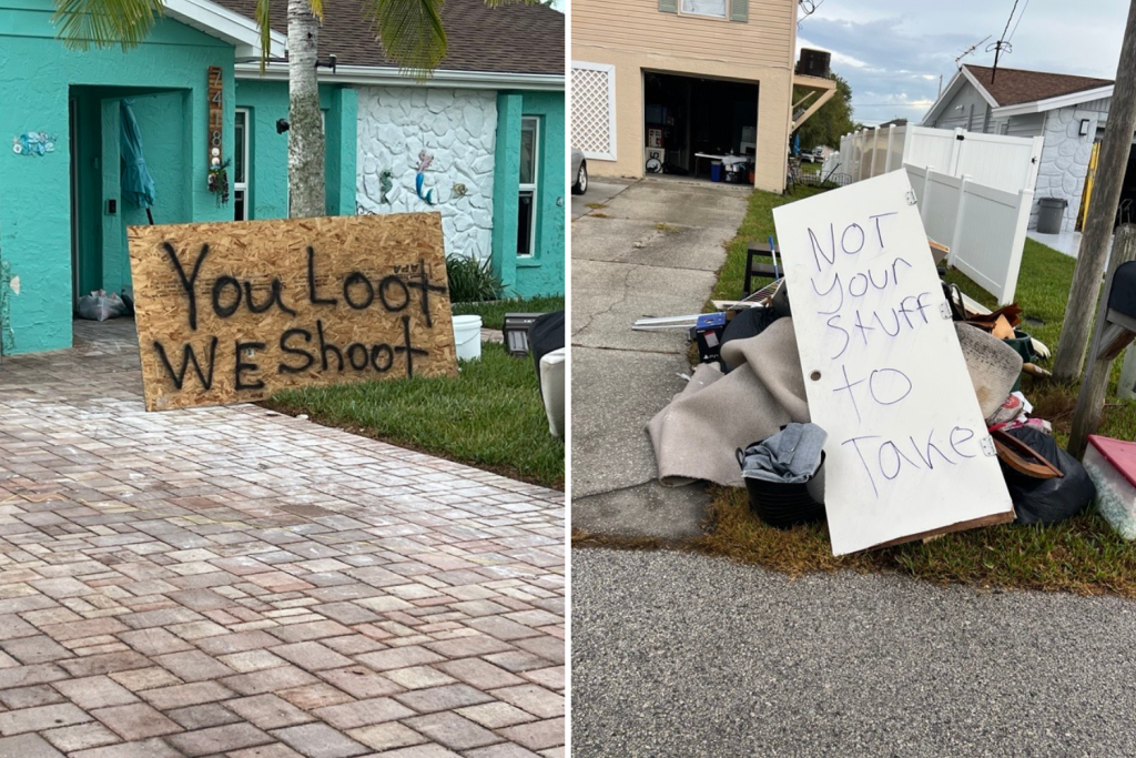 looter signs florida