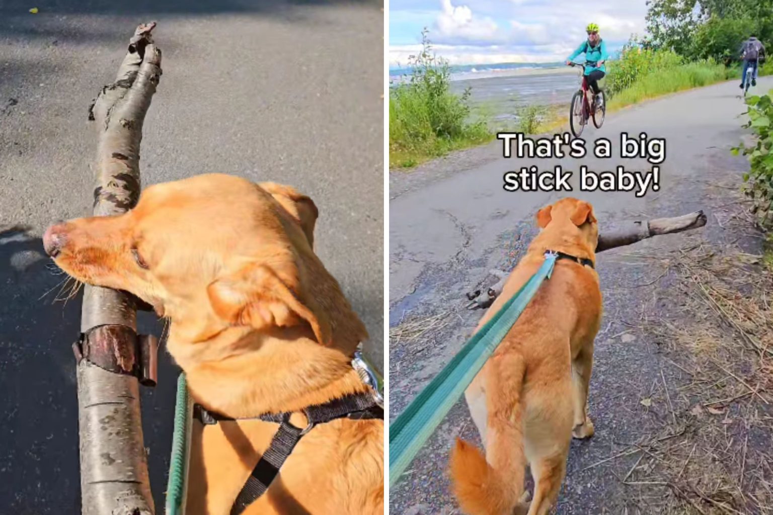 stick