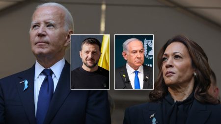 biden harris zelenskyy netanyahu