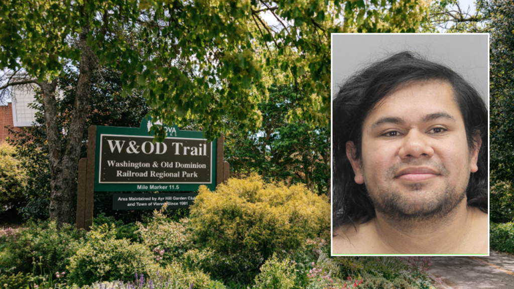 illegal immigrant arrested for attempted abduction rape on wod trail in herndon