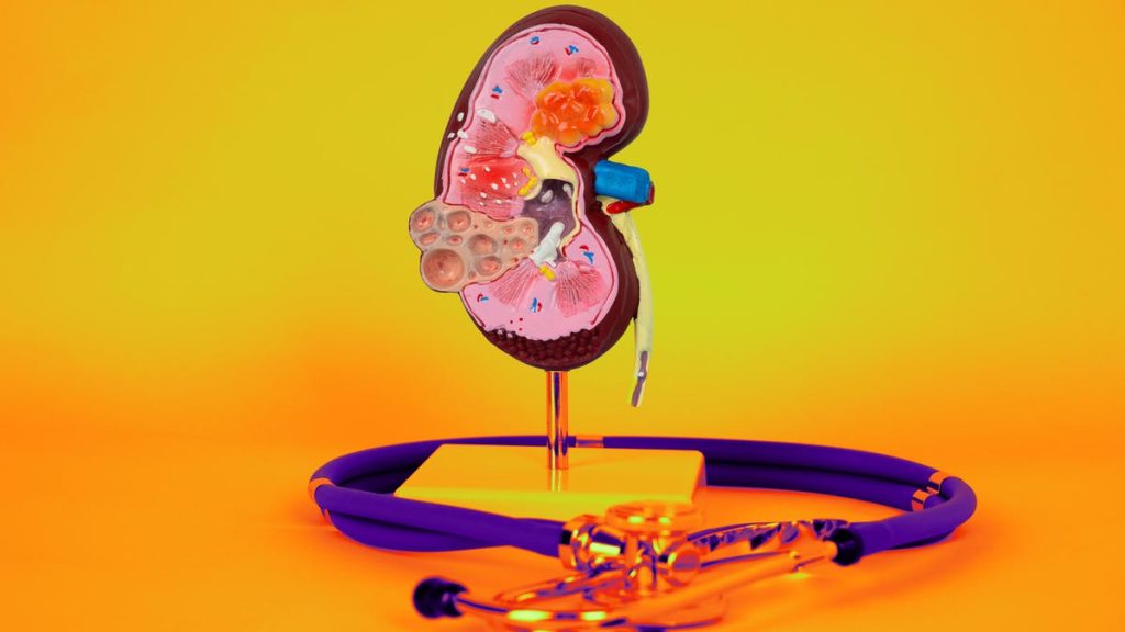 kidneyhealth