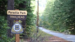 mount hood trail head