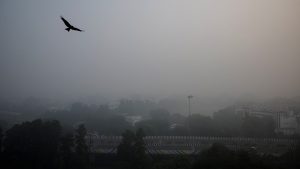 new delhi smog