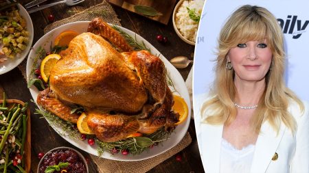 thanksgiving turkey split sandra lee closer