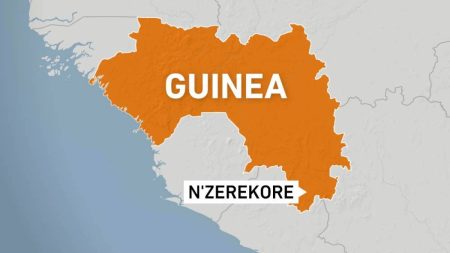 1000562 NZEREKORE GUINEA MAP 1733126149