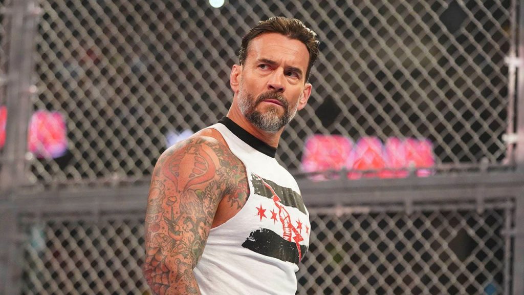 1735289136 cm punk