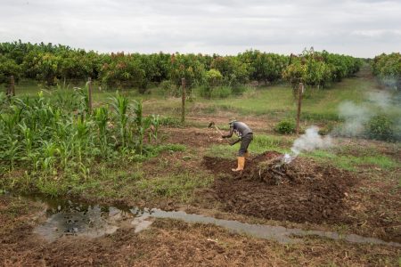 AFP 20181125 1B22WW v2 Preview AngolaEconomyAgriculture 1733570883