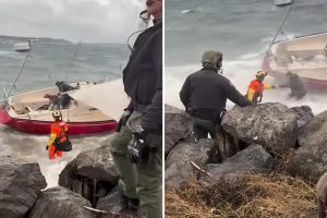 coast guard rescues man dog 95871176