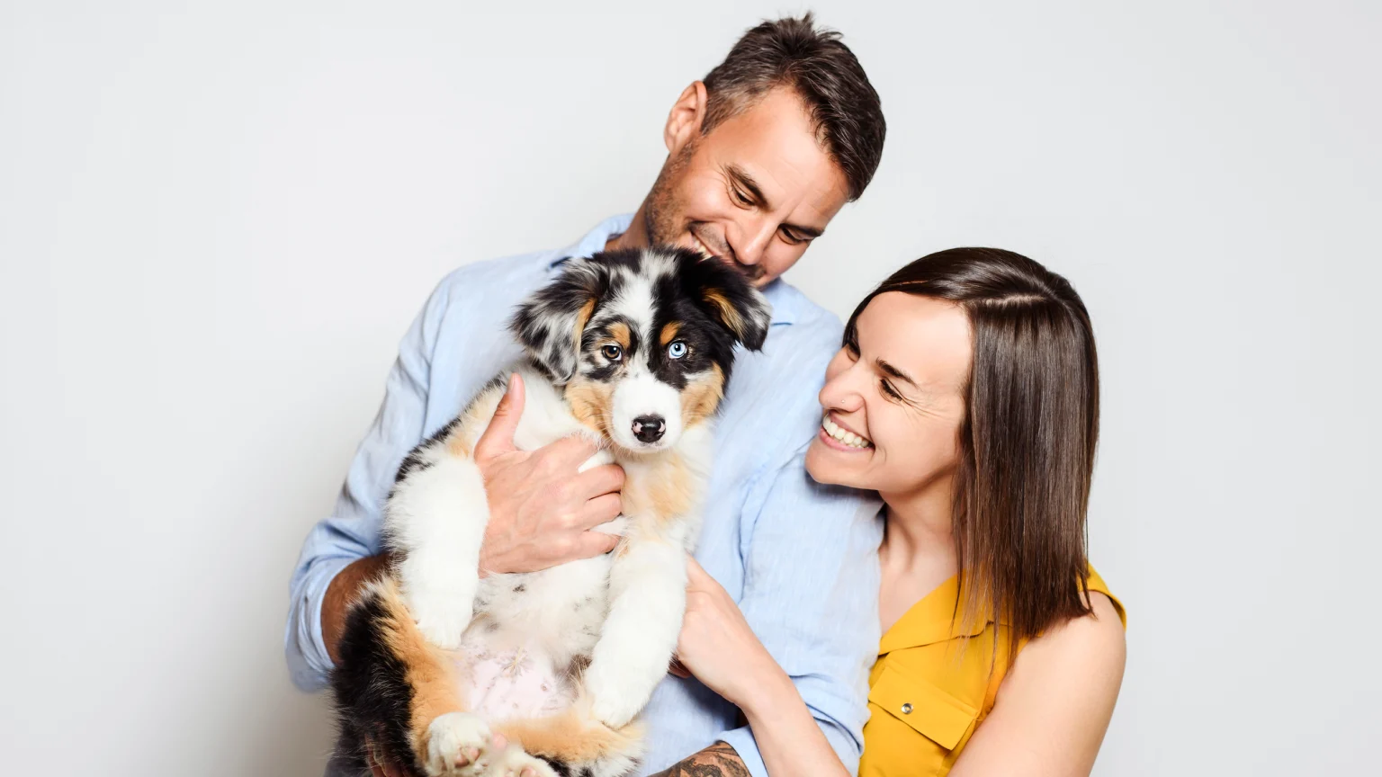 commerce dog parents istock 1397916399