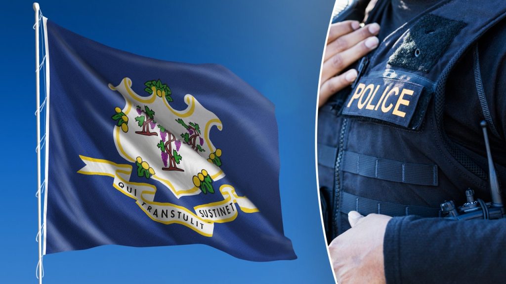 connecticut state flag police