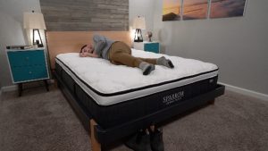 nest sparrow hybrid side sleeper 01 dl