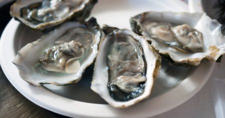 oyster recall