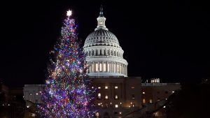 u.s. capitol christmas tree lit for holiday season