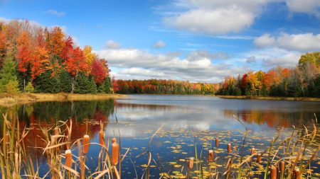 wisconsin gettyimages 93193445