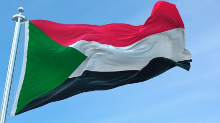 Palestine flag