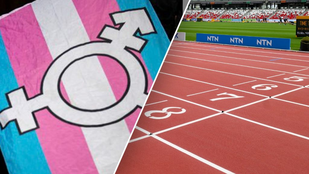 Track trans flag