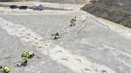 britain dinosaur tracks aerial