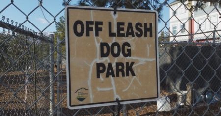 dog sign