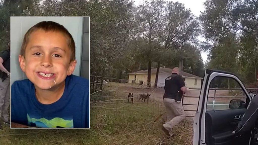 florida boy killed by dogs