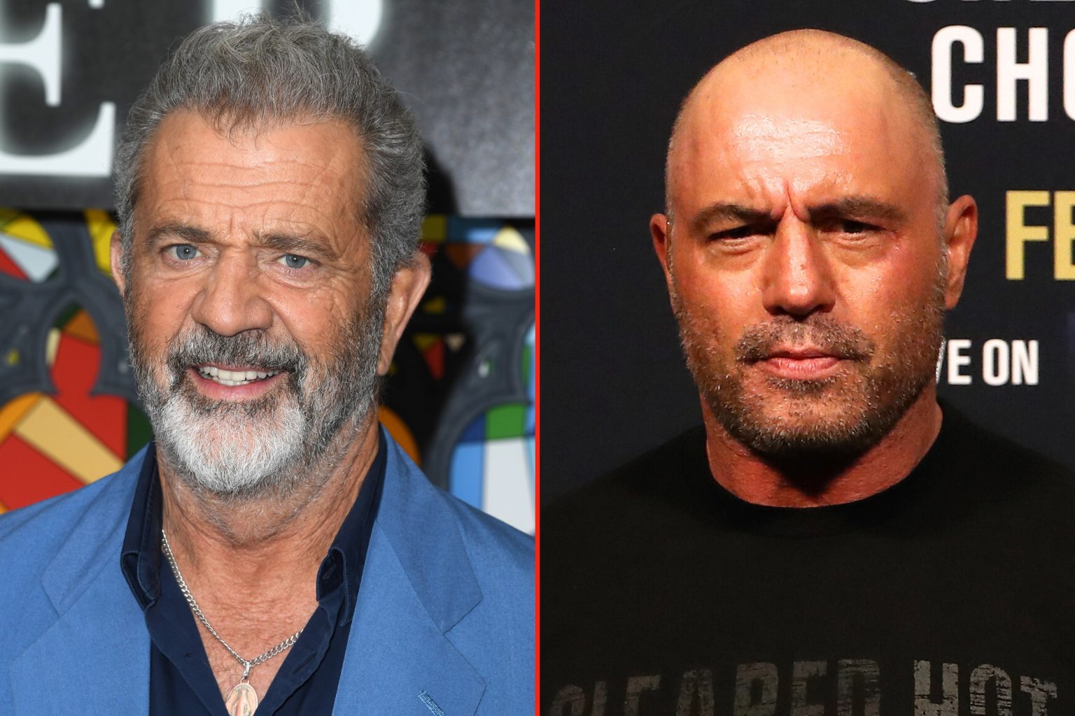 mel gibson joe rogan