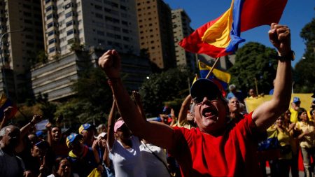 venezuelan protestors