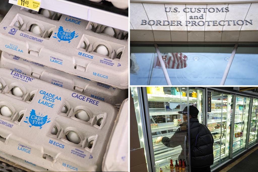 rewrite this title Border Patrol sees uptick in egg smuggling on southern border as prices skyrocket 98947467