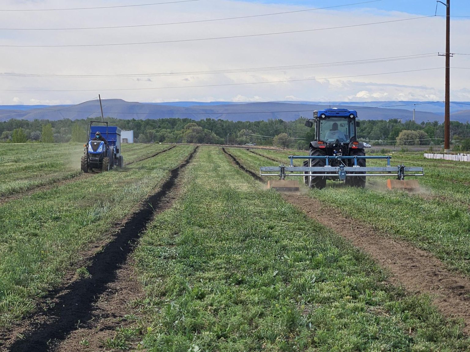 Biochar being applied in new NWFM apple orchard 2