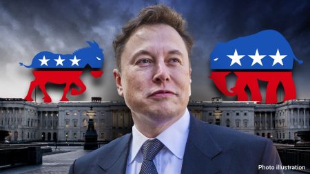 Elon musk vote choice