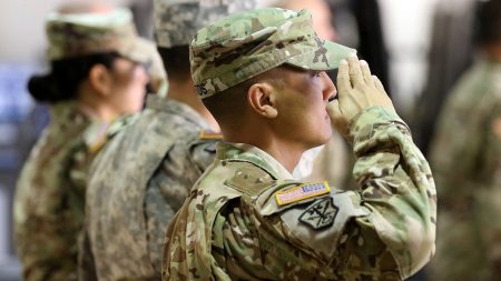 army national guard salute