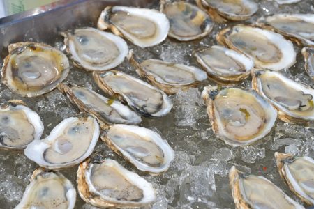 oysters