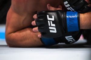 ufc gloves