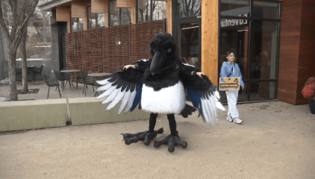 Edmonton bird contest