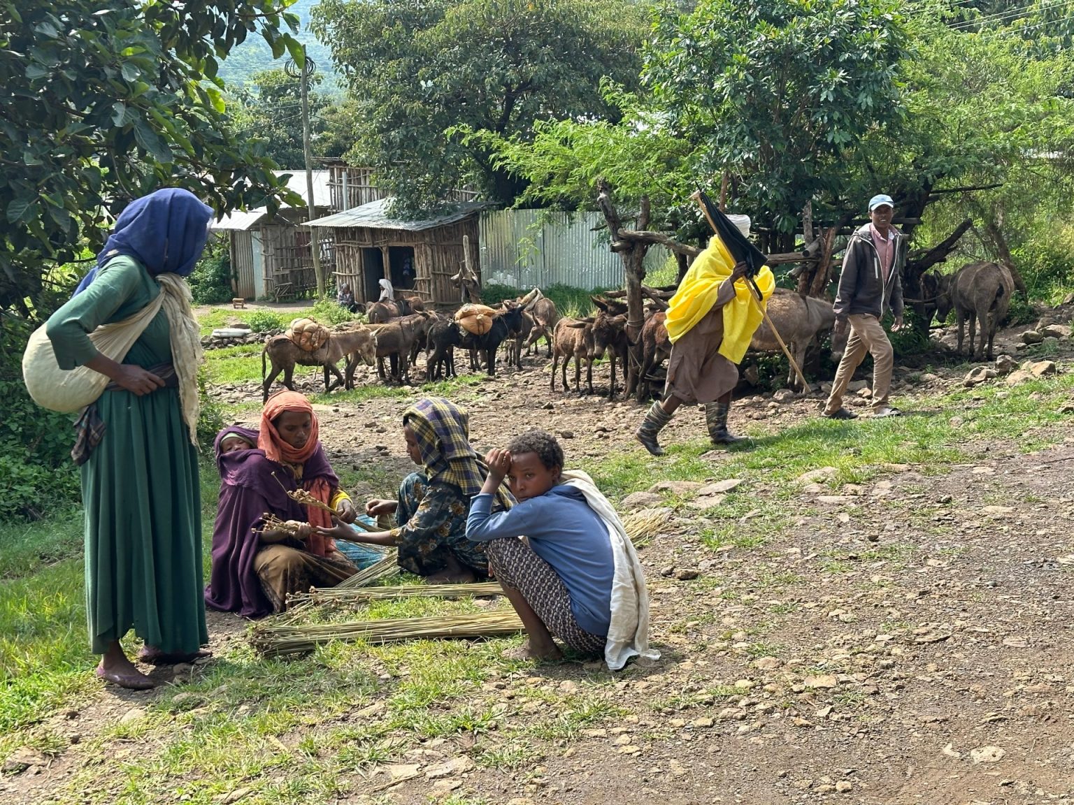 Villagers in Awra Amba 1741103973